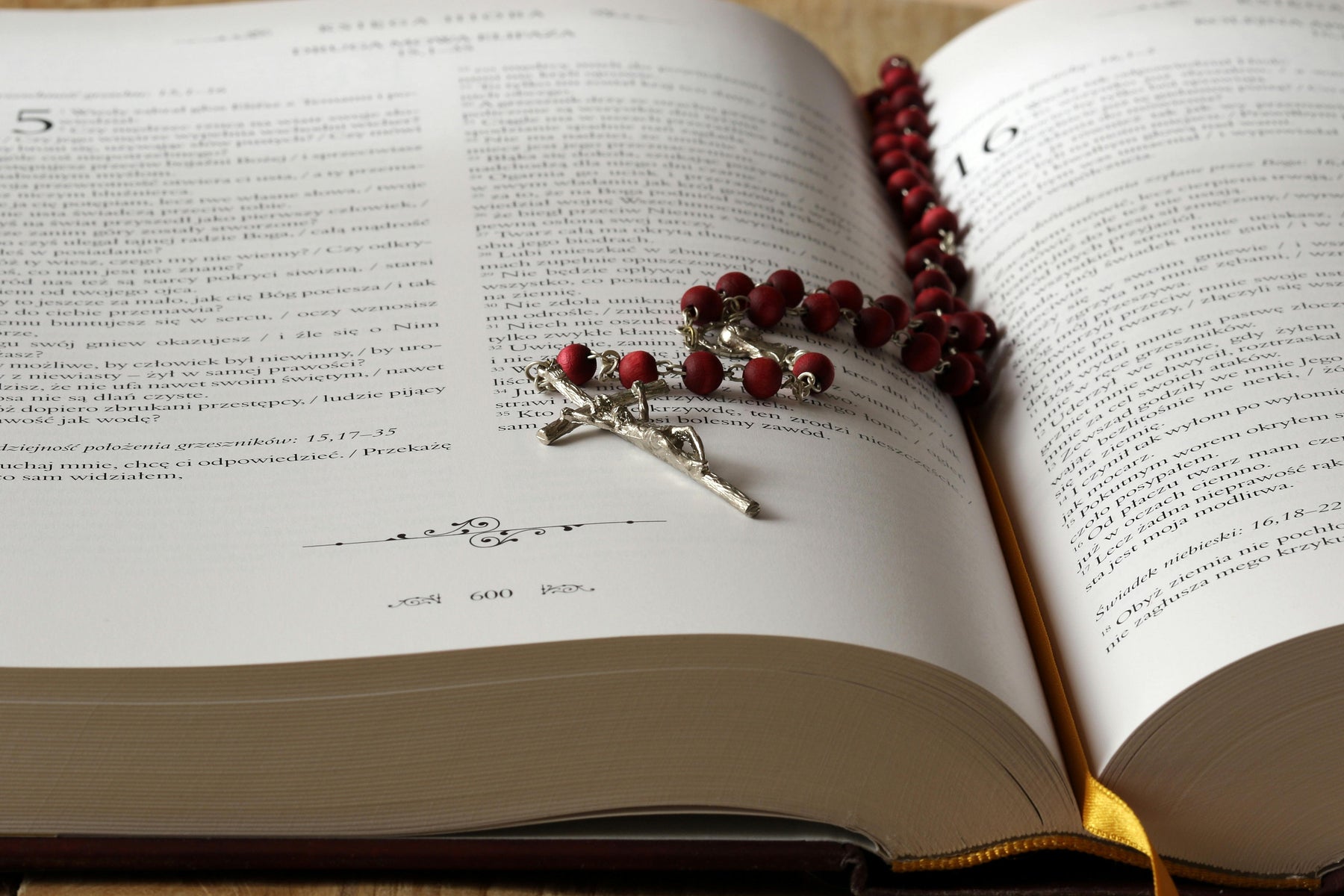 Best Catholic Bibles for Study and Reflection