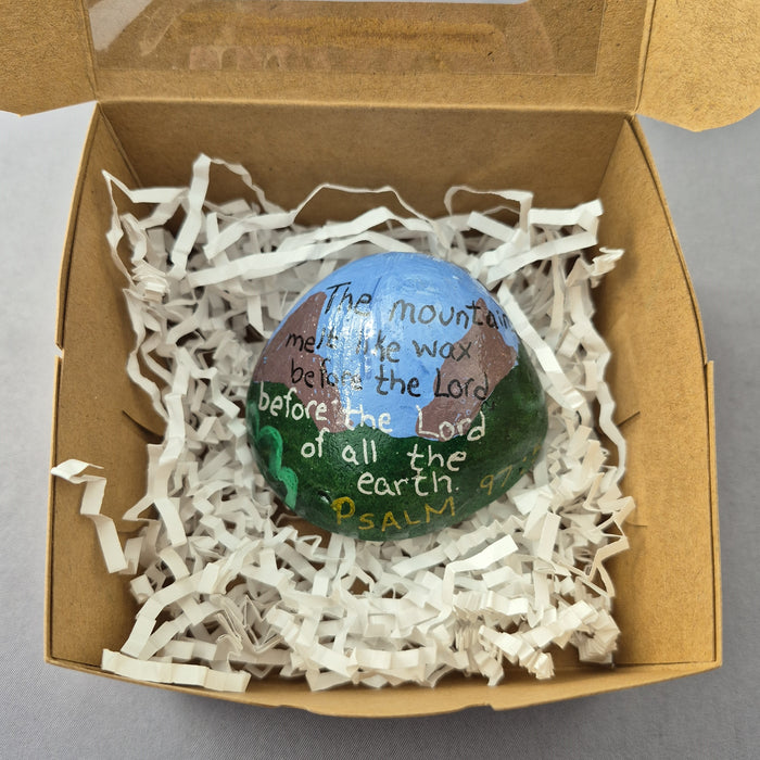 Living Stones $4.00 Spring