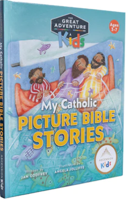My Catholic Picture Bible Stories (Ages 4-7)