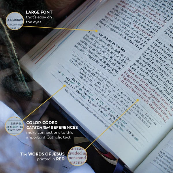 Great Adventure Catholic Bible in Large Print