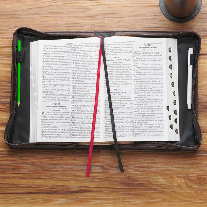 Bible Cover (M) Crown of Thorns Brown Faux Leather