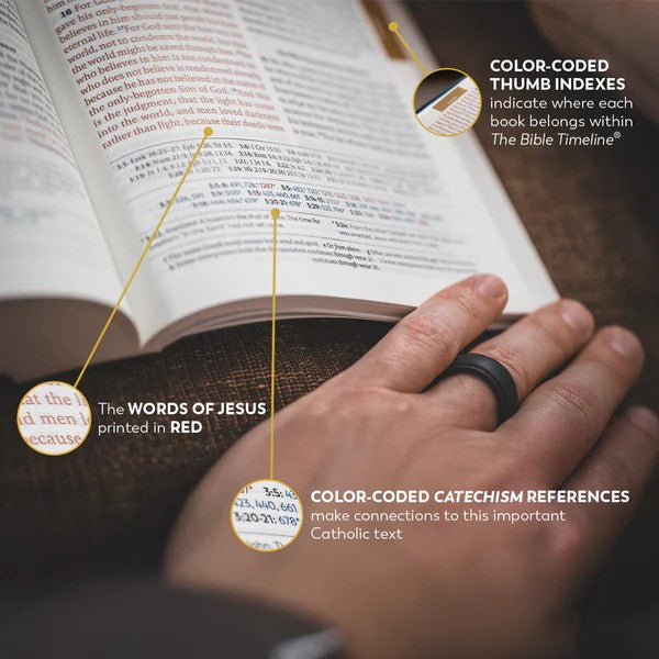 Great Adventure Catholic Bible in Paperback