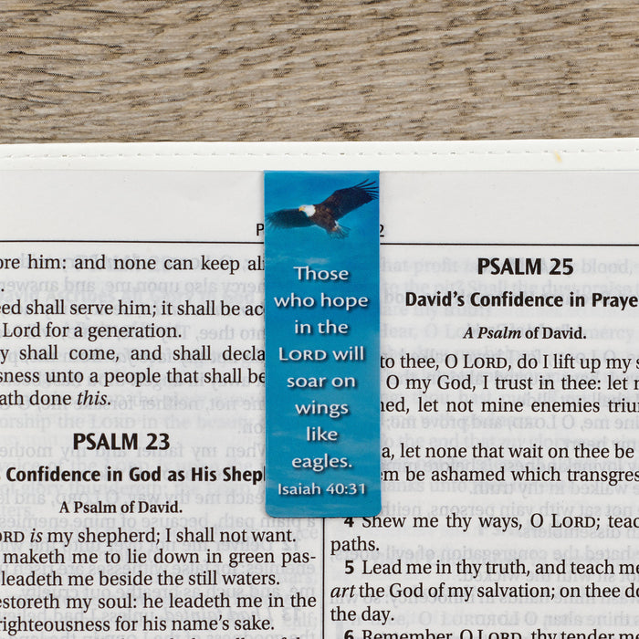 Magnetic Bookmark Set Classic Collection