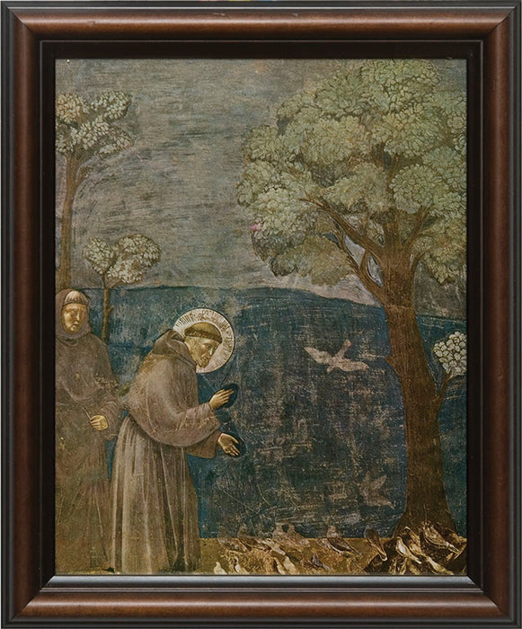 St Francis with Birds Framed Art 8" x 10"
