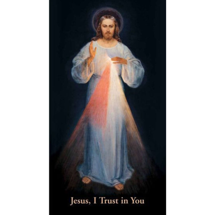 CHAPLET OF THE DIVINE MERCY PRAYER CARD, VILNIUS