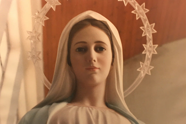 We pursue our mission, and Our Lady’s mission, in several ways: