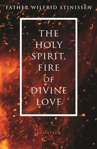 HOLY SPIRIT, FIRE OF DIVINE LOVE - FR WILFRID STINISSEN