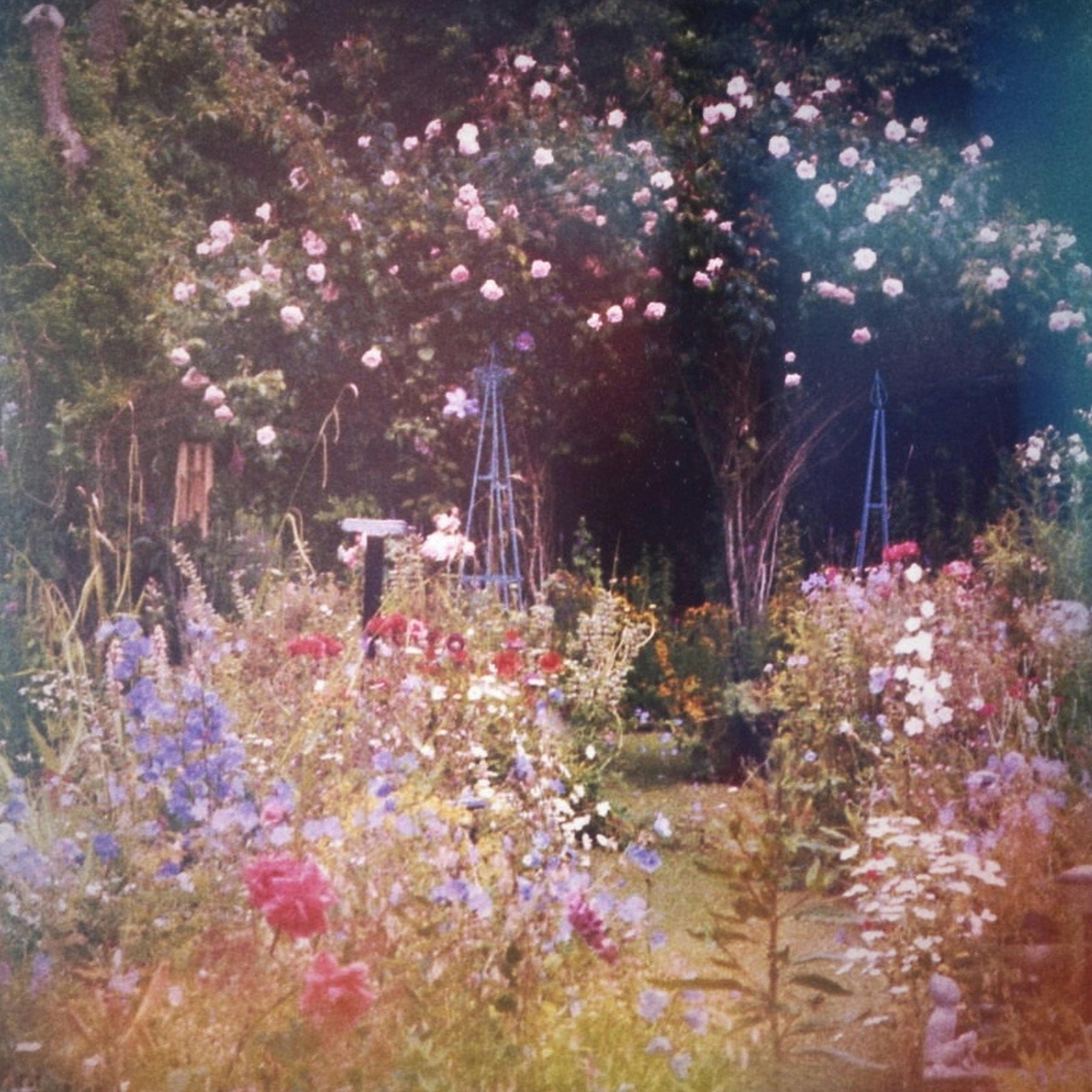 The Catholic Garden: A Place for Prayer