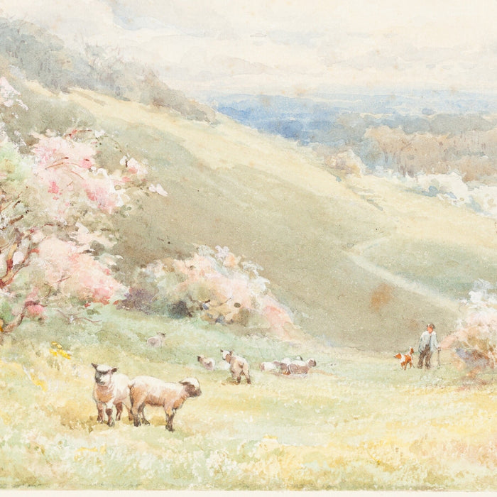 Gifts of Renewal: A Catholic Springtime Gift List