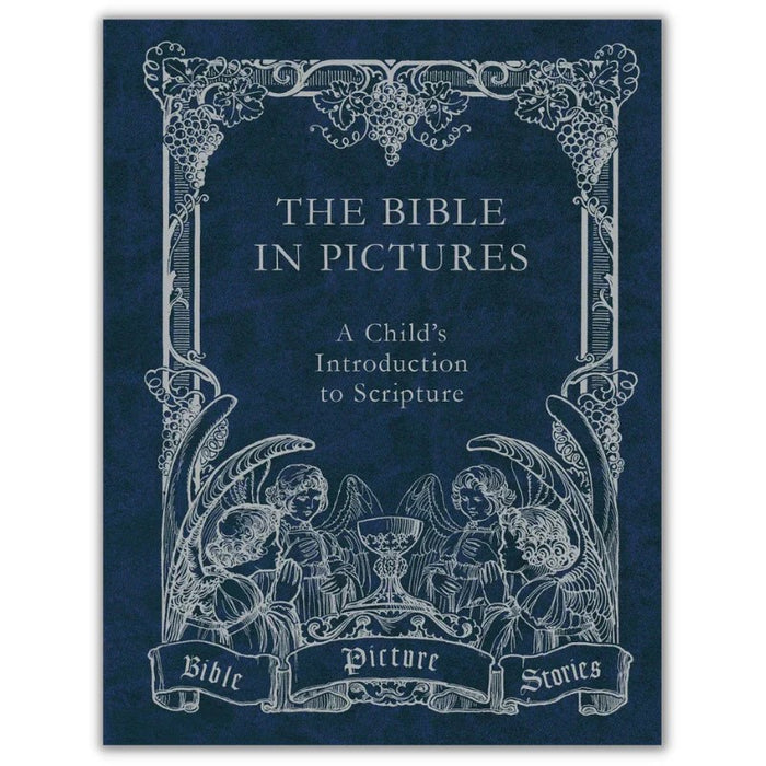 The Bible in Pictures by Rev. Thomas C. Gaffney, Ph.D., DD