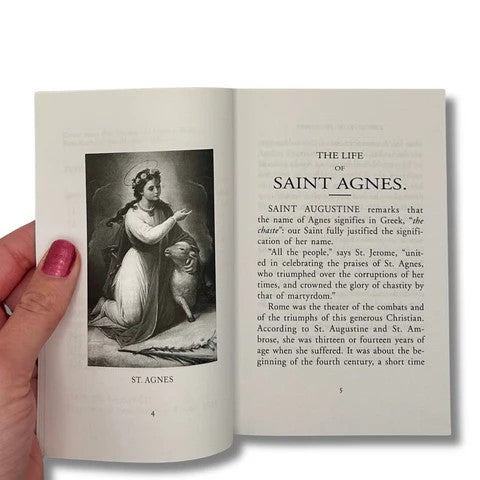 Patron Saints for Girls by Erwin Steinback