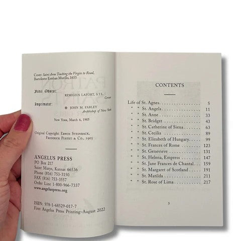 Patron Saints for Girls by Erwin Steinback