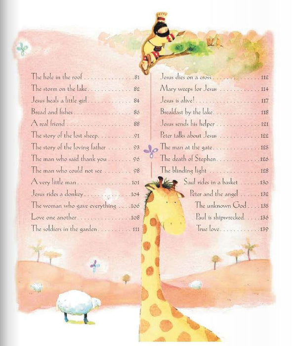 A Child's Bible By Sally Ann Wright