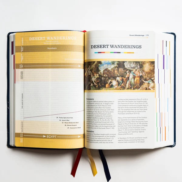 Great Adventure Catholic Bible - Large Print - Navy Blue