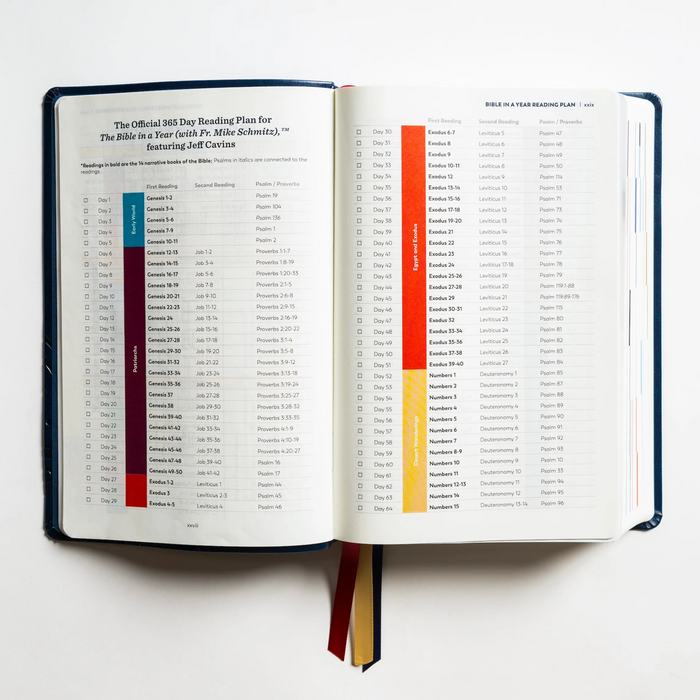 GREAT ADVENTURE CATHOLIC BIBLE - NAVY BLUE IMITATION LEATHER
