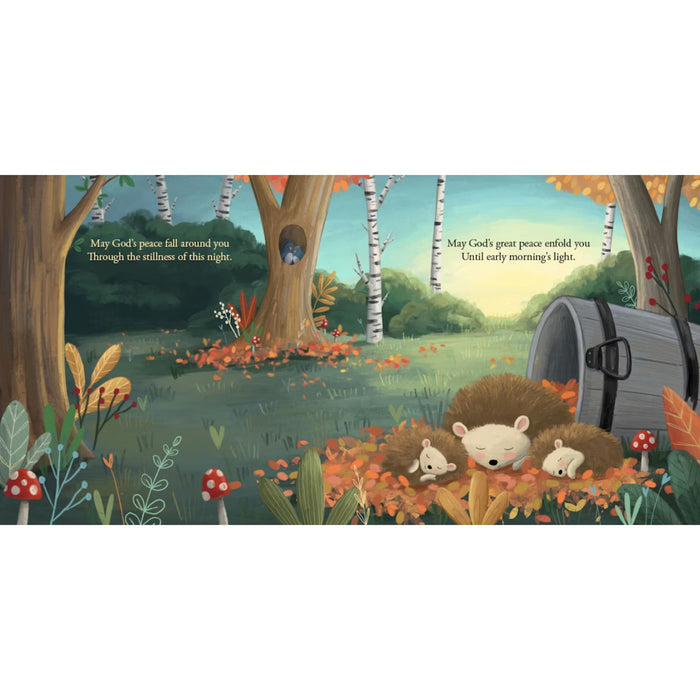 God’s Perfect Peace