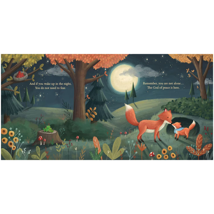 God’s Perfect Peace