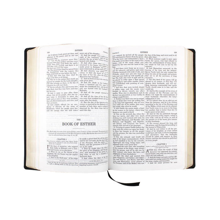 Douay-Rheims Bible in Black Leather