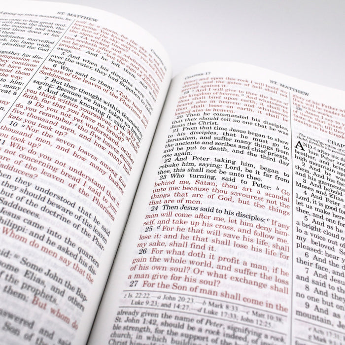 Douay-Rheims Bible in Black Leather