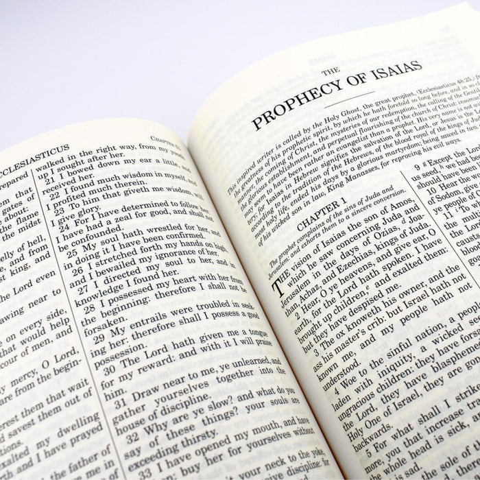Douay-Rheims Bible Paperback