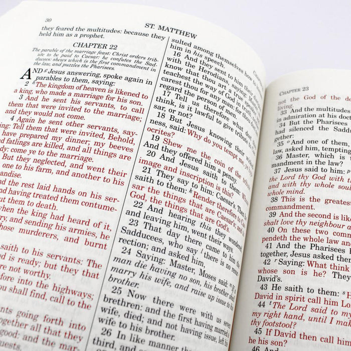 Douay-Rheims Bible Paperback