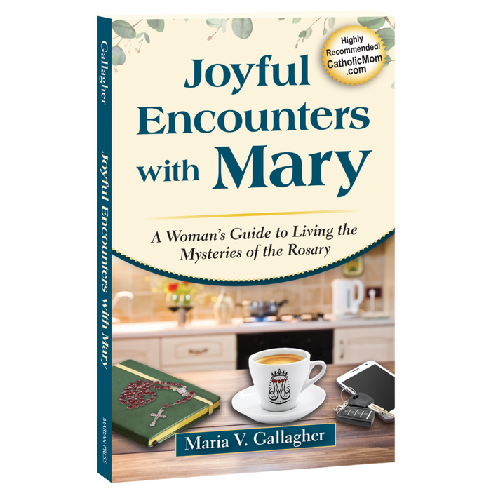 Joyful Encounters with Mary: A Woman's Guide to Living the Mysteries of the Rosary