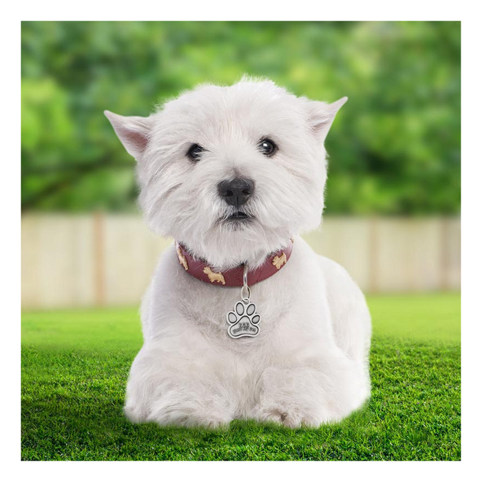 St Francis Paw Pet Medal