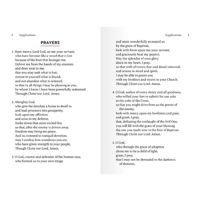 Prayers to Protect Us: A Collection of Prayers, Litanies, Hymns, and Readings in Leather
