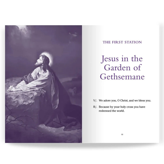 Pocket Guide to the Stations of the Cross by Dr. Edward Sri