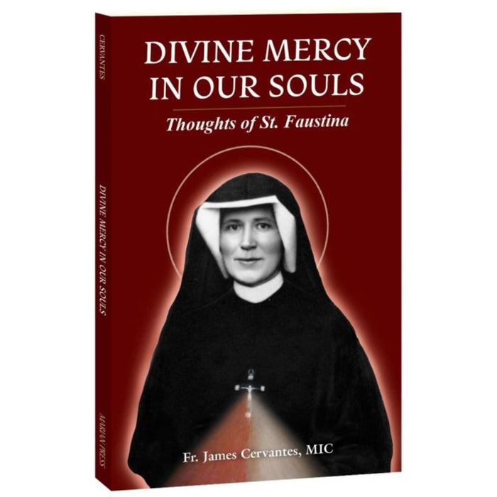 Divine Mercy in Our Souls: Thoughts of St. Faustina by 	Fr. James Cervantes, MIC