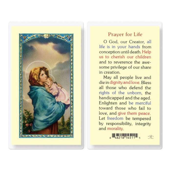 Prayer for Life with Madonna of the Street Holy Card