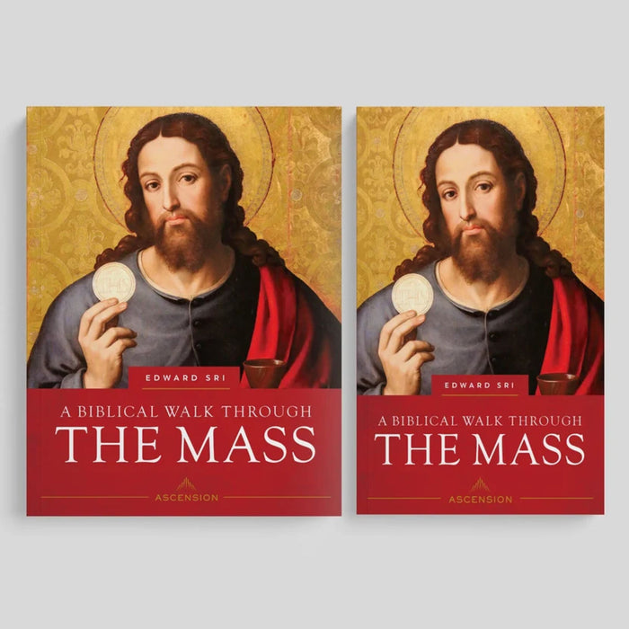 A Biblical Walk Through the Mass, Study Set