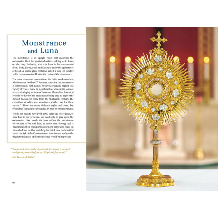 The Sacred That Surrounds Us: How Everything in a Catholic Church Points to Heaven