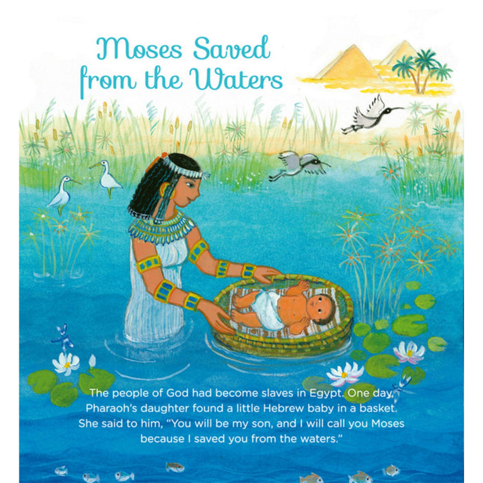 My Picture Book of the Bible