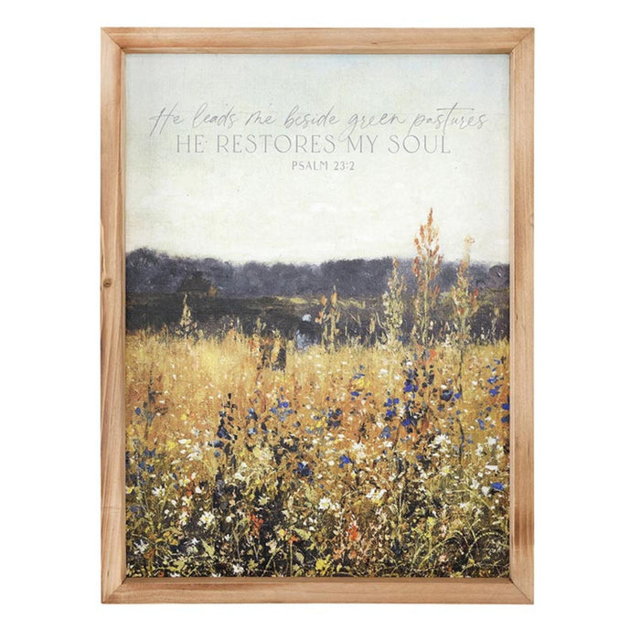 Psalm 23 Framed Art