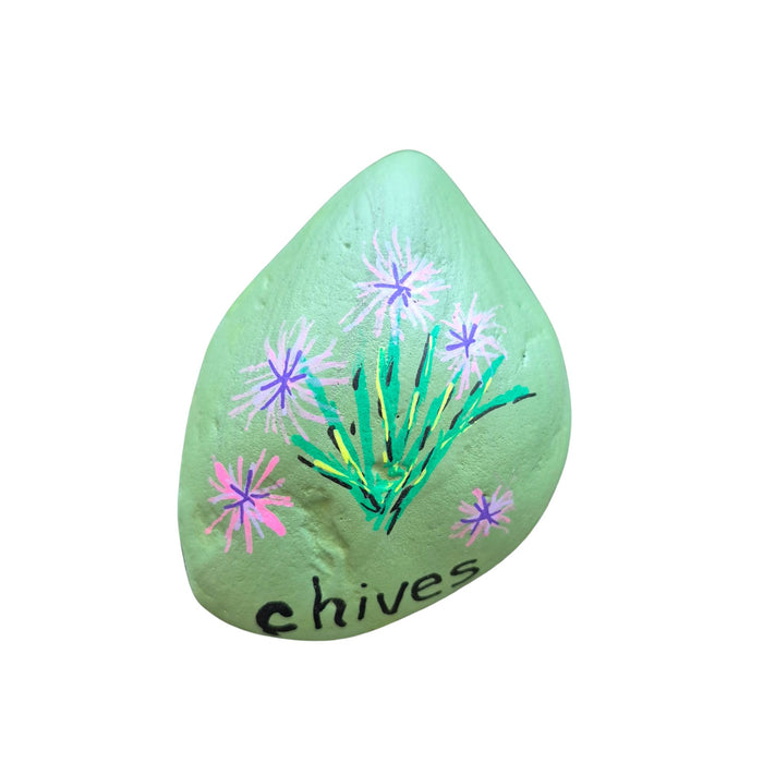 Living Stones $4.00 Spring