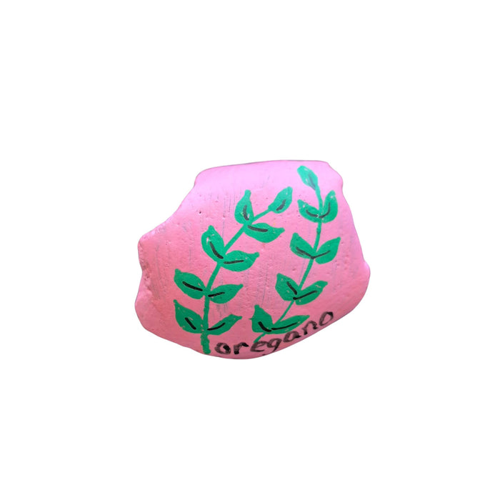 Living Stones $2.00 Spring