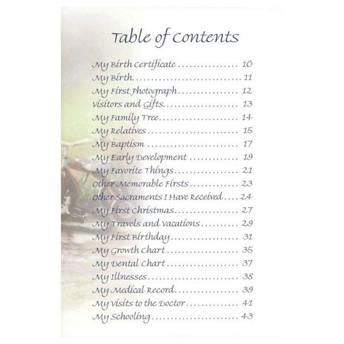 God's Treasure: Catholic Baby Record Book