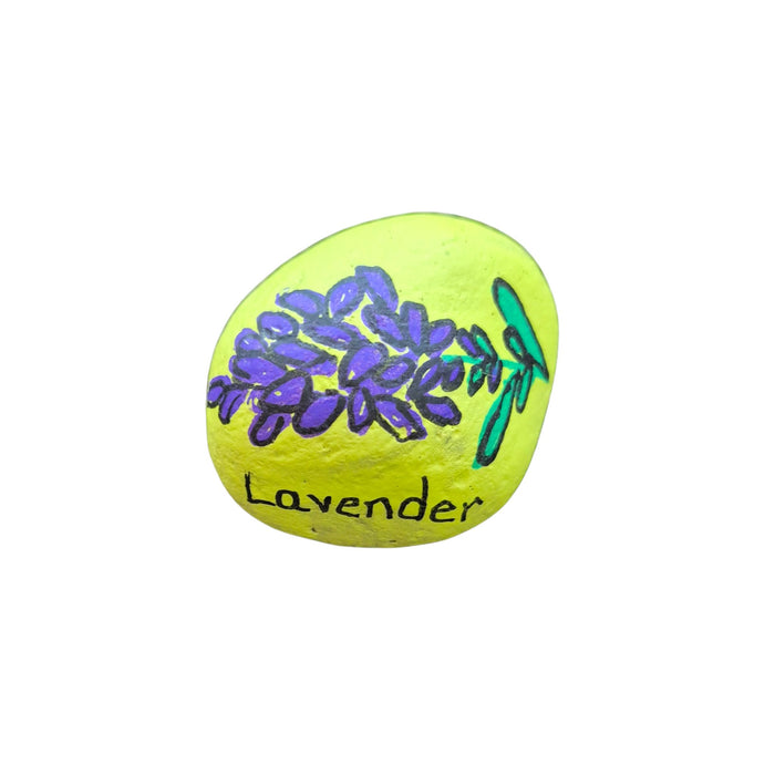 Living Stones $2.00 Spring