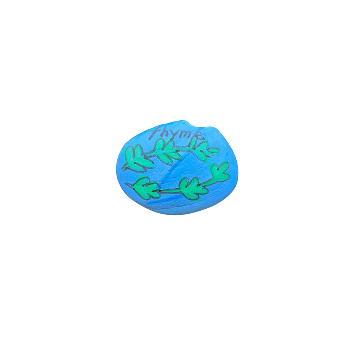 Living Stones $2.00 Spring