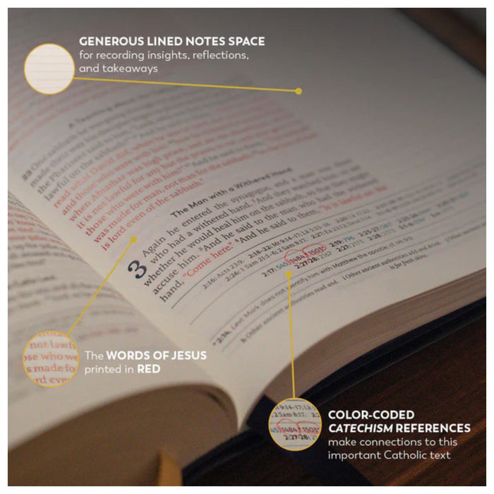 Great Adventure Catholic Bible Notetaking Edition