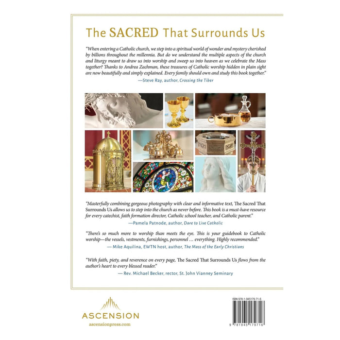 The Sacred That Surrounds Us: How Everything in a Catholic Church Points to Heaven