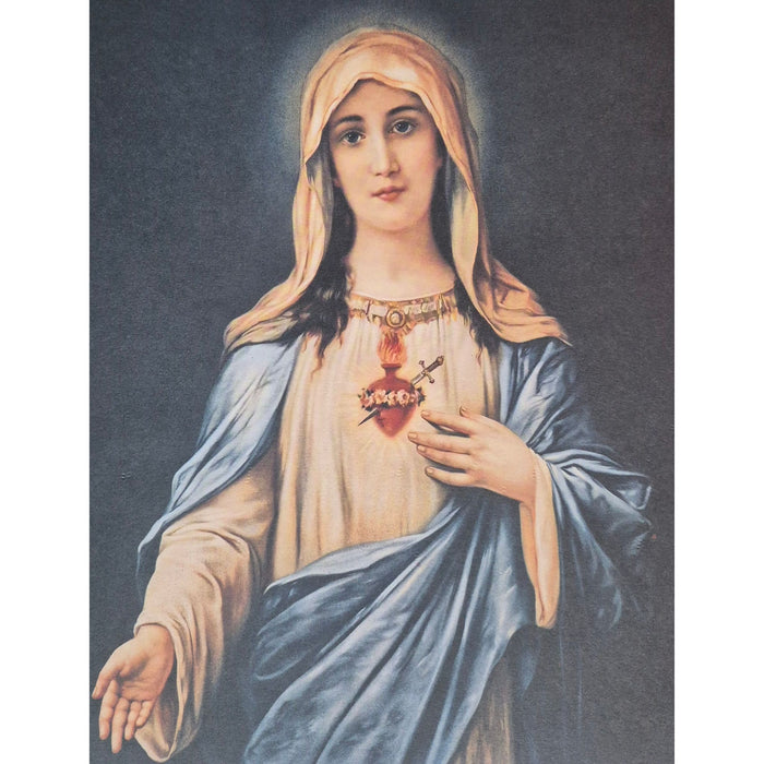 Pierced Immaculate Heart 16" x 20" Print