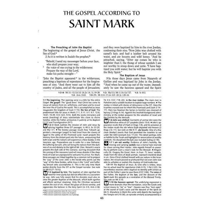New Testament Ignatius Catholic Study Bible By Scott Hahn & Curtis Mitch