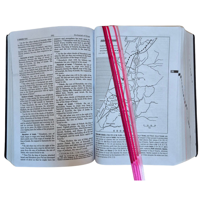 Bible Ribbons in Color Heart of Flesh