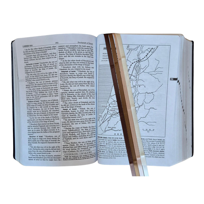 Bible Ribbons in Color Salt of the Earth