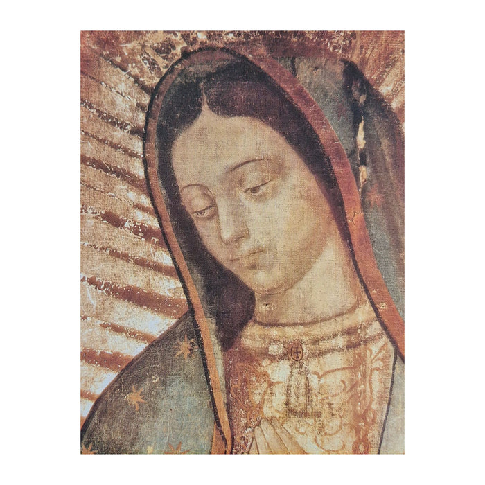 Our Lady of Guadalupe Print