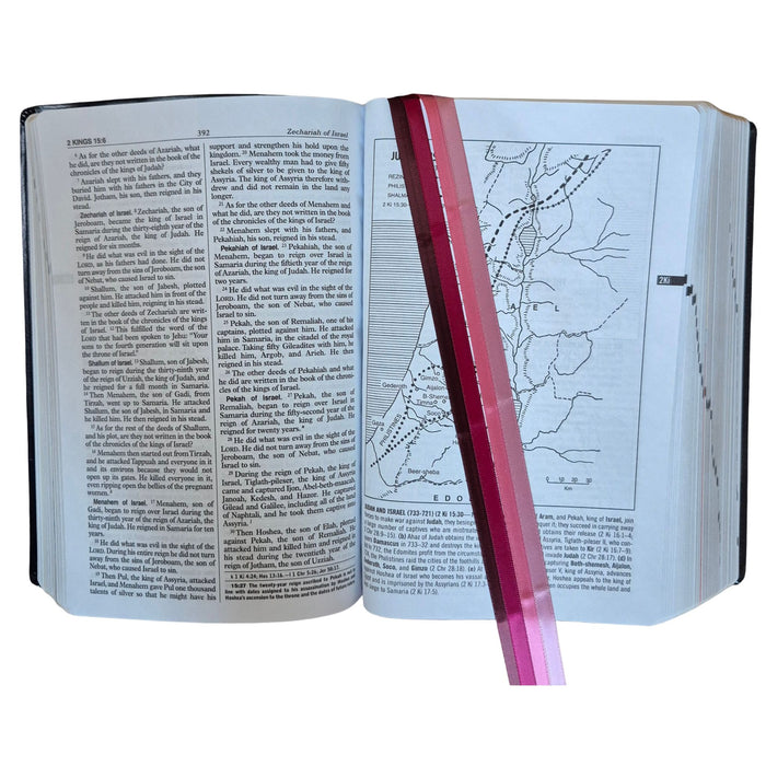 Bible Ribbons in Color New Wine