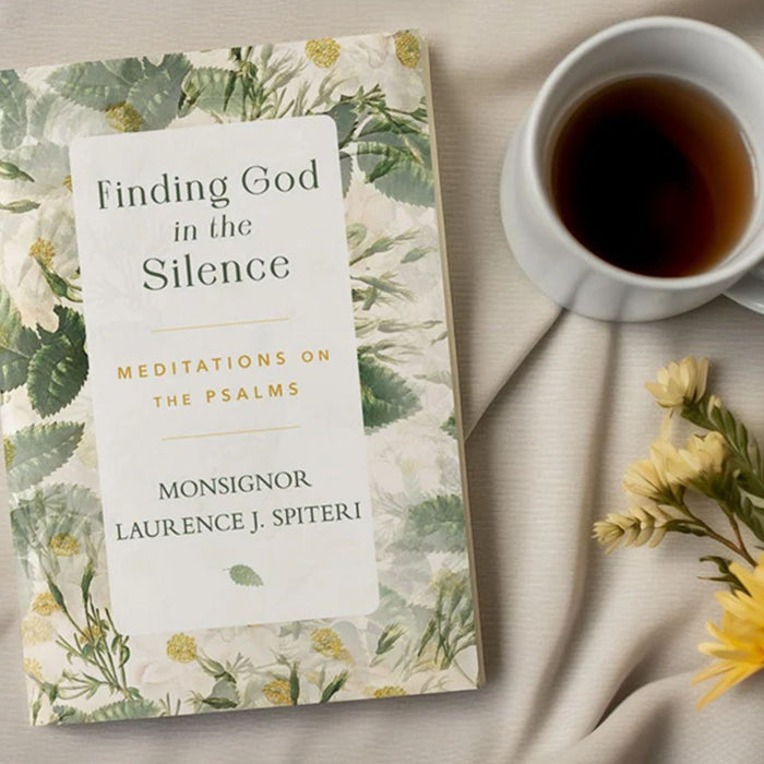 Finding God in the Silence Meditations on the Psalms