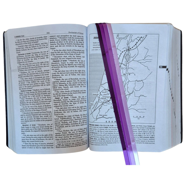 Bible Ribbons in Color Royalty